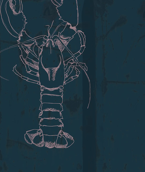 Ausschnitt aus Website: Wochenkarte: Fisch und Hummer Illustration