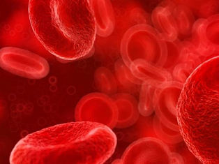 Honey Blood