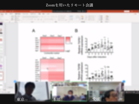 Zoom会議に対応しました