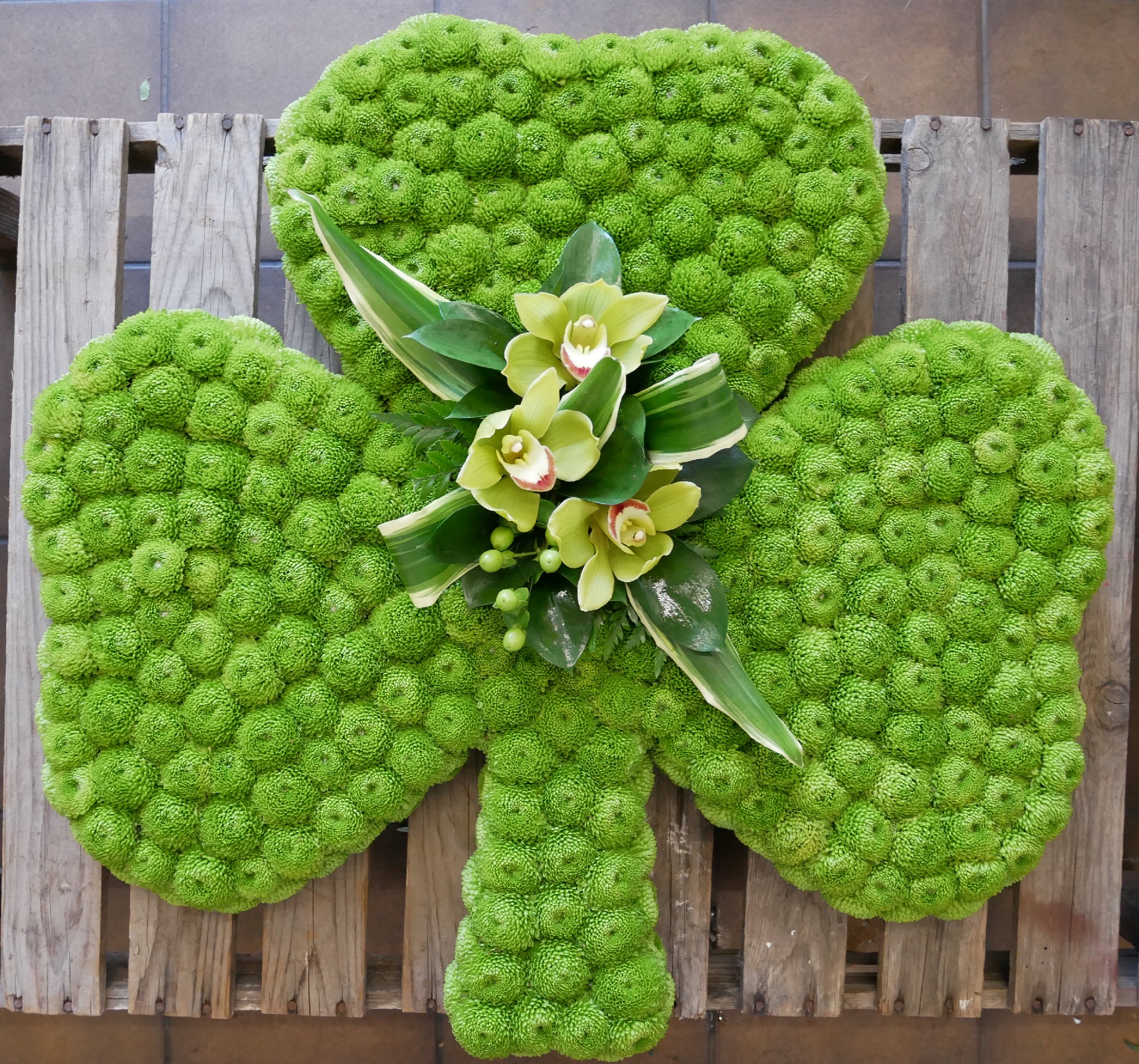 Shamrock