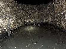 fatberg 4.JPG