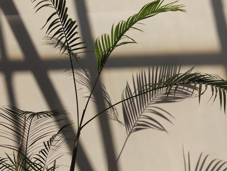 A Dynamic-Maturation Model of Attachment