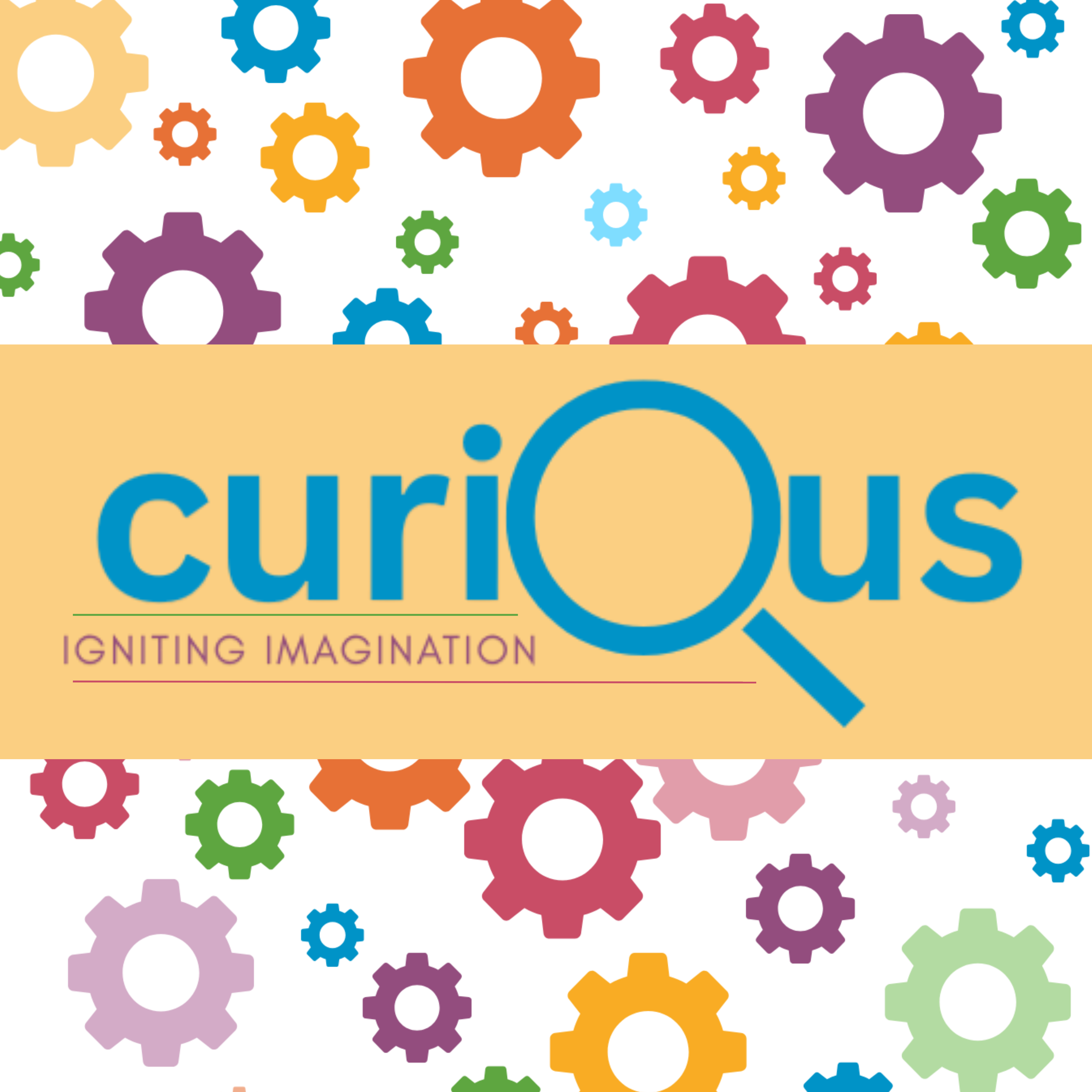 Curious Museum venue photo