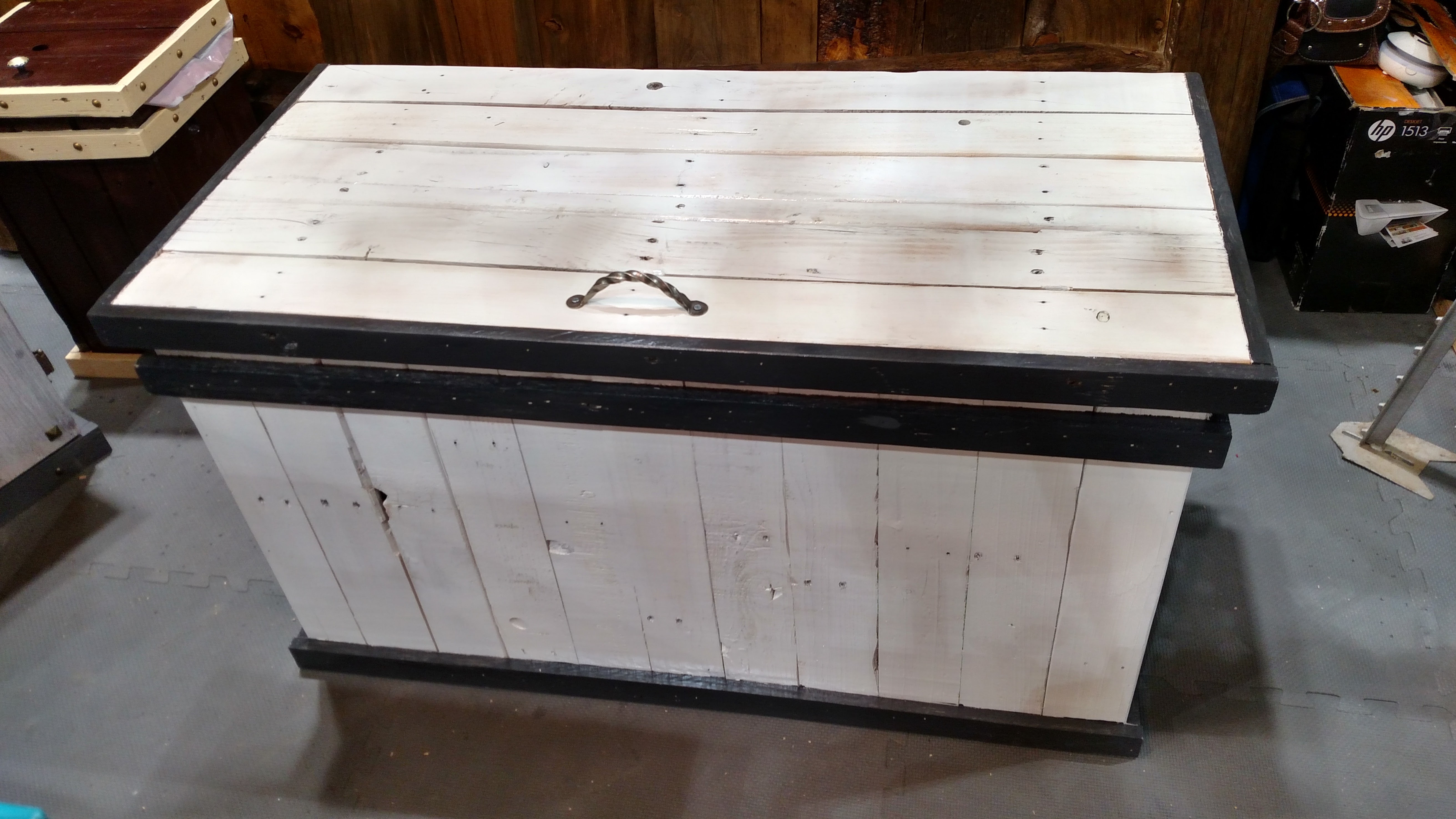 White Trunk with Grey Trim