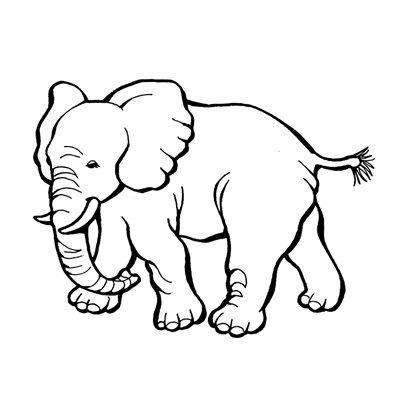 elephant