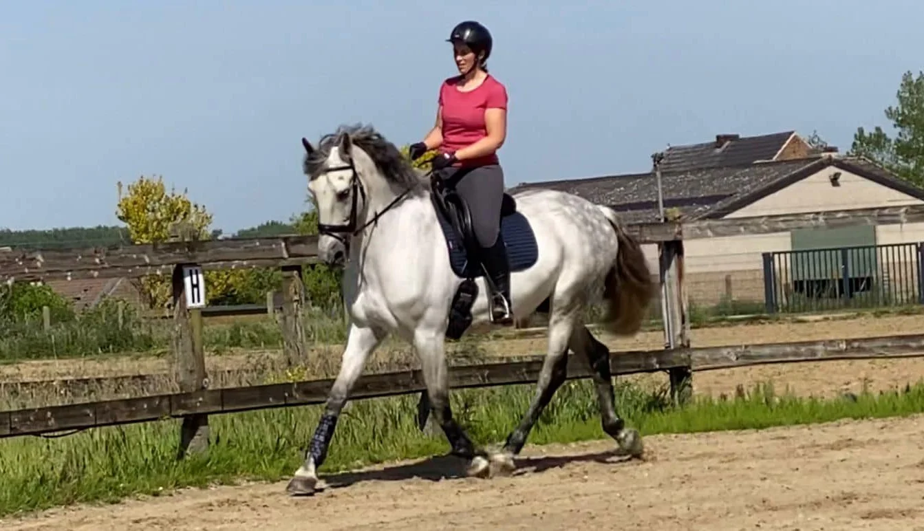Matador HN
