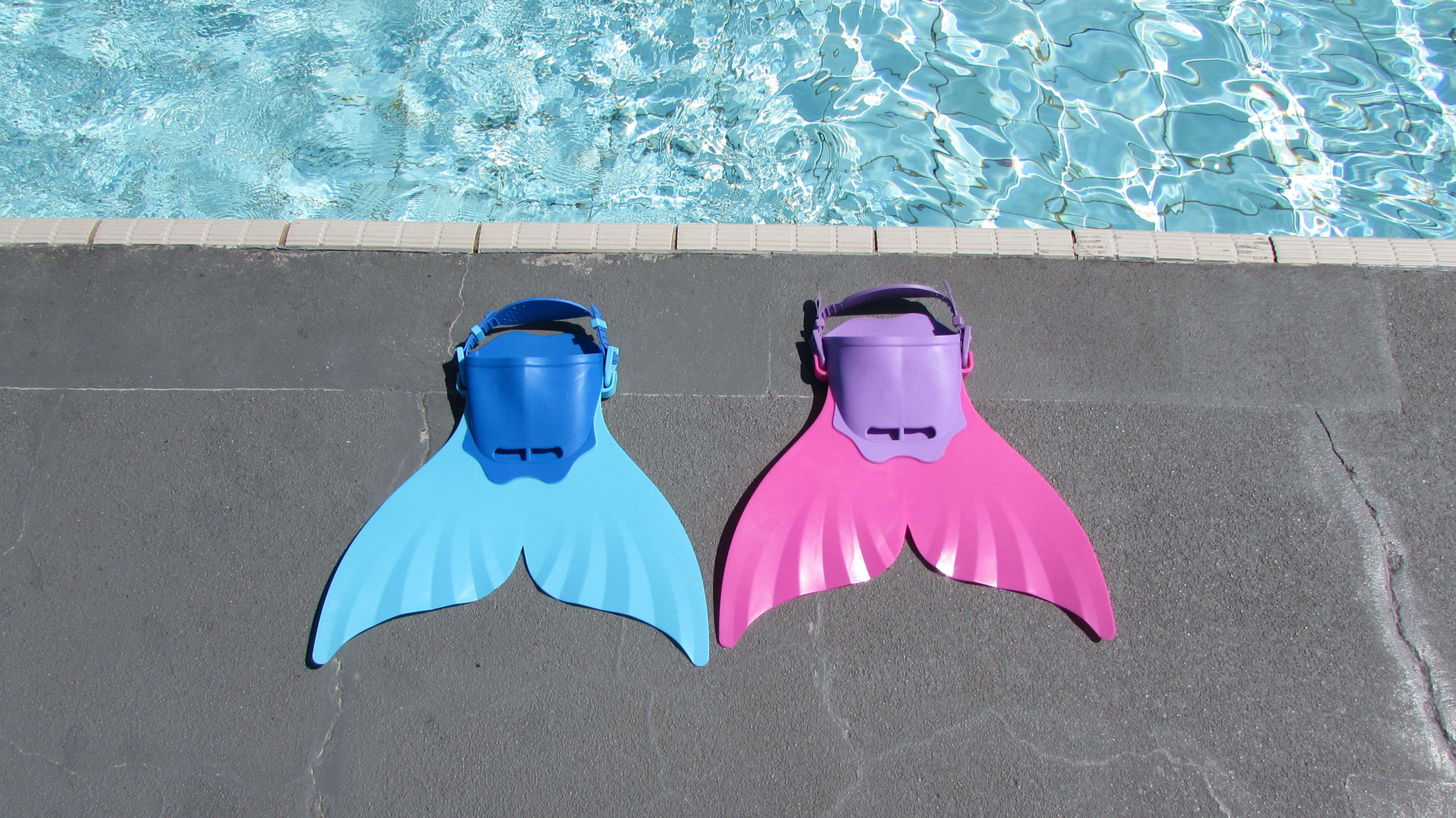 Monoflosse – Klein