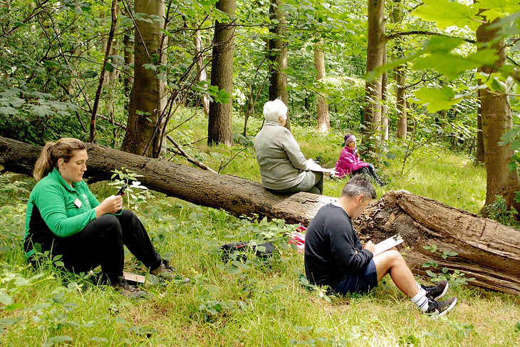 people sketching in nature