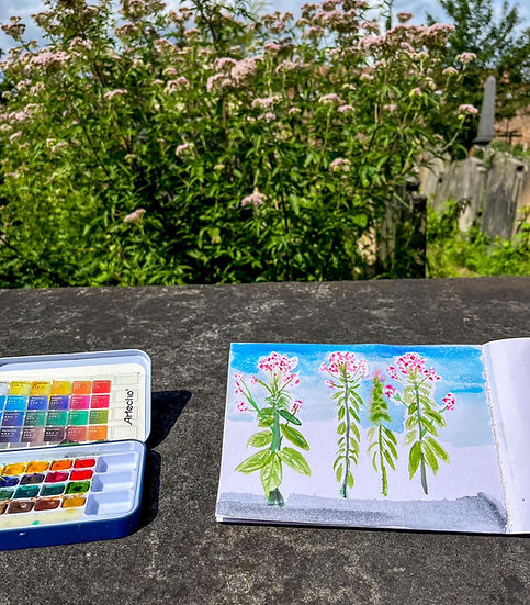 YBB watercolour