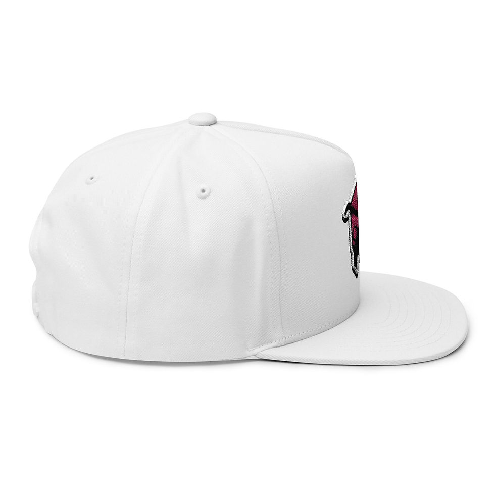 Thumbnail: Shard Bugs - Embroidered Flat Bill Cap
