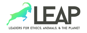 Horizontal-w-LEAP-spelled-out-e1681769307442.png