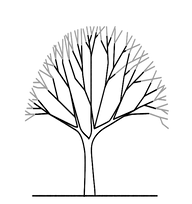 Tree 30 grey.png