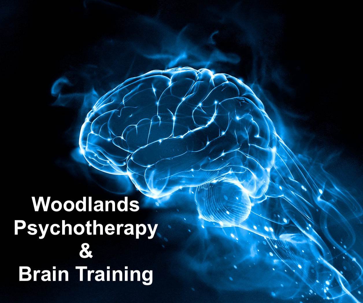 Woodlands Psychotherapy and Brain Training