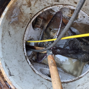 부산변기막힘 동구 식당 변기 