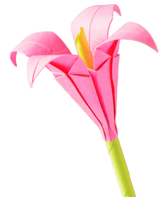 Image of an origami flower.