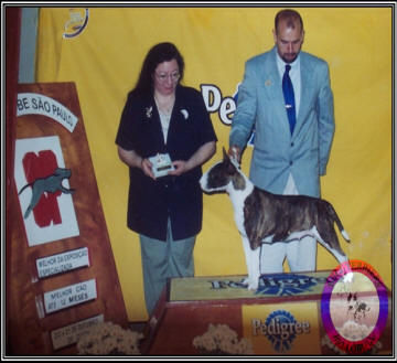 ChGrCh Brigitte Bellobull