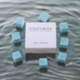 Wax Melts Ocean Breeze (Φρεσκάδα Ωκεανού) 90gr