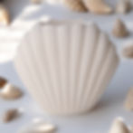 Αρωματιστής για Wax Melts "Seashell" Δώρο 1 Ρεσώ & 2 Wax Melts