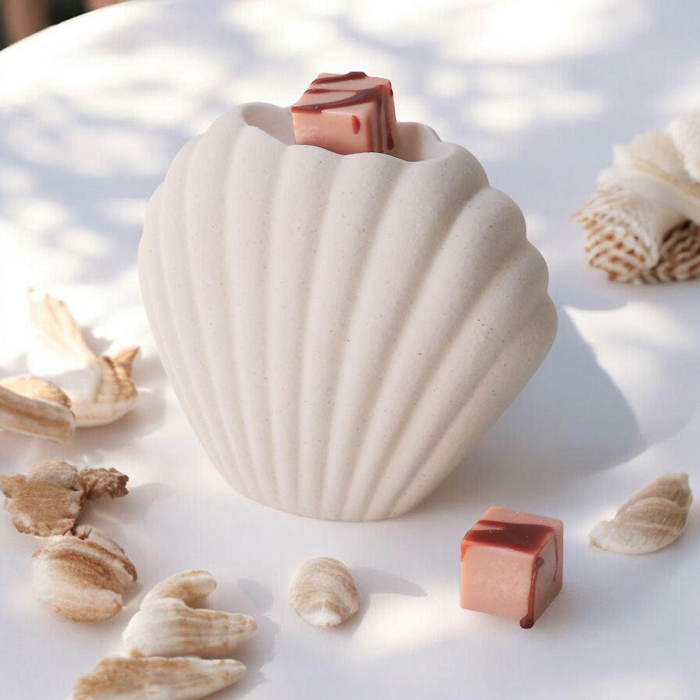 Μικρογραφία: Αρωματιστής για Wax Melts "Seashell" Δώρο 1 Ρεσώ & 2 Wax Melts