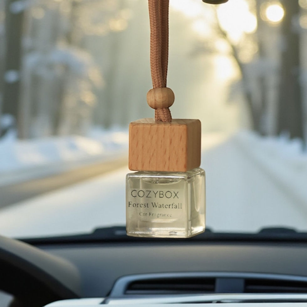 Forest Waterfall Car Diffuser (Αρωματικό Αυτοκινήτου)