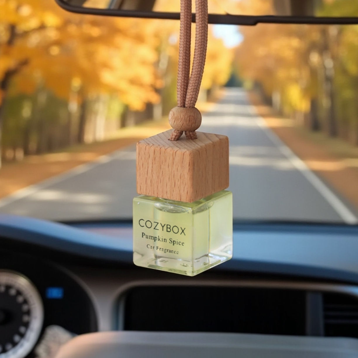 Pumpkin Spice Car Diffuser