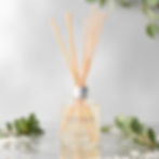 Eucalyptus & Sea Salt Reed Diffuser 250ml