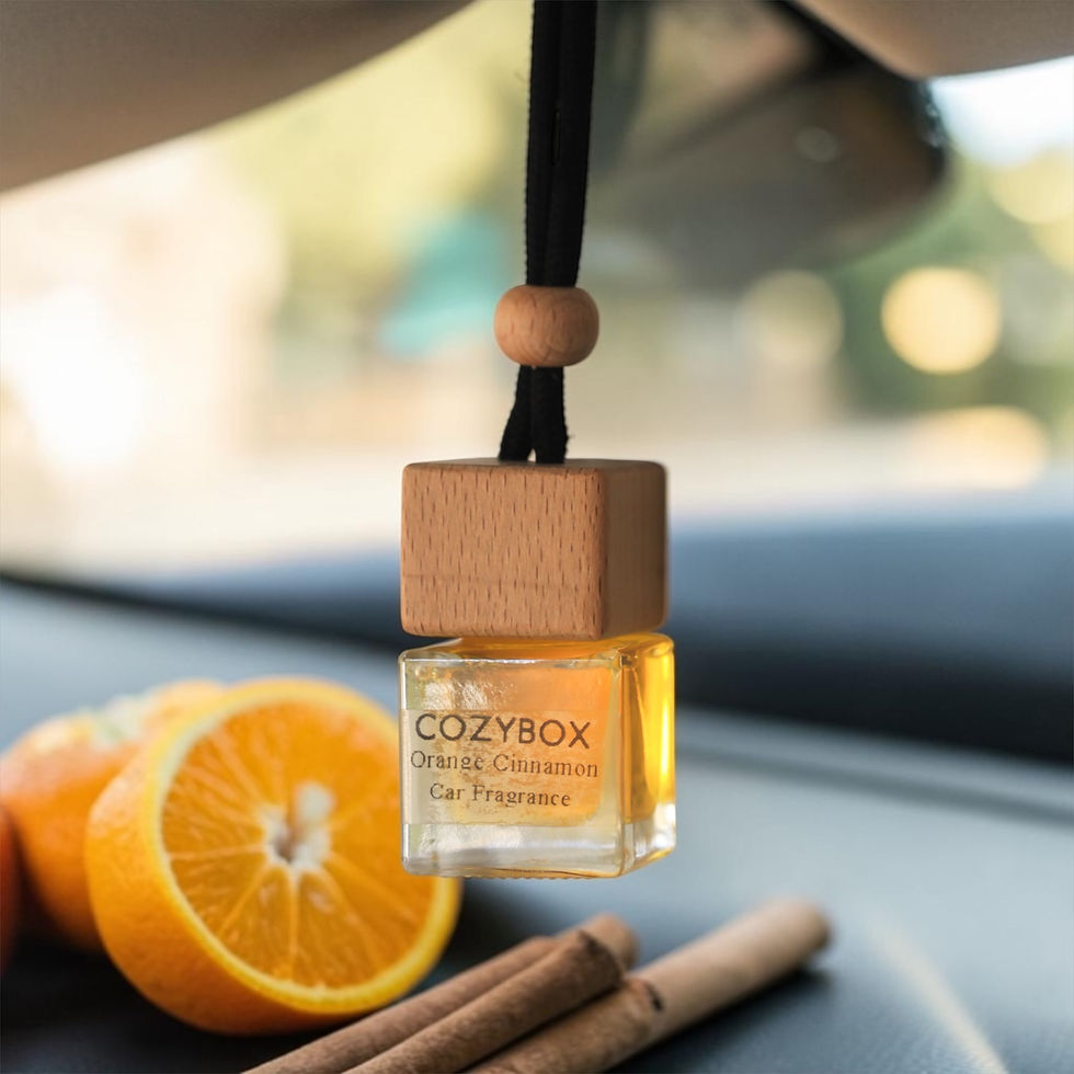 Orange Cinnamon Car Diffuser (Αρωματικό Αυτοκινήτου)