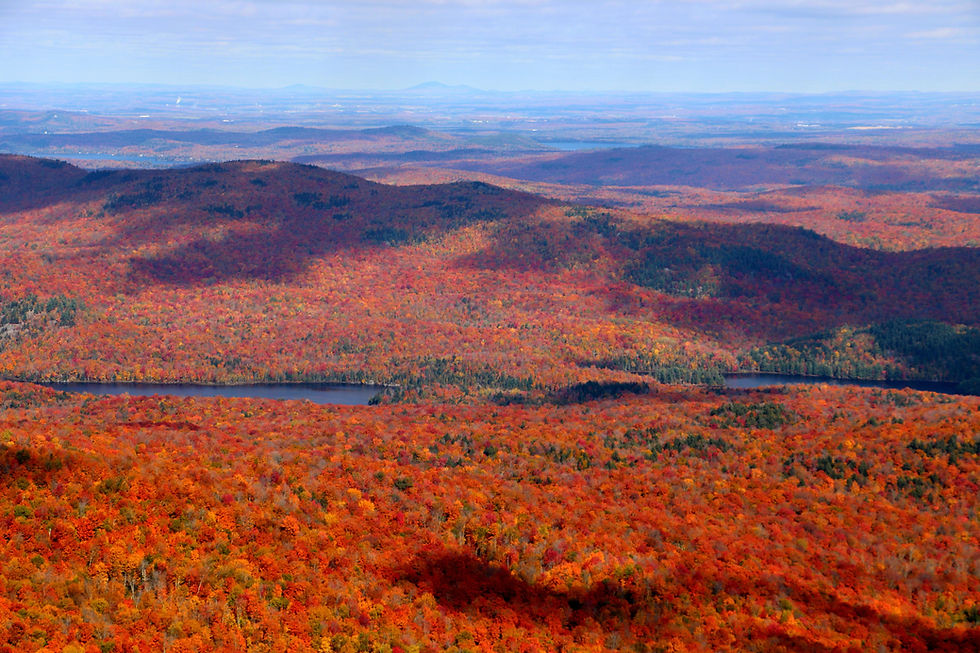 Exploring Autumn: A Scenic Drive through Quebec's Eastern Townships and Vermont's Bordering Towns
