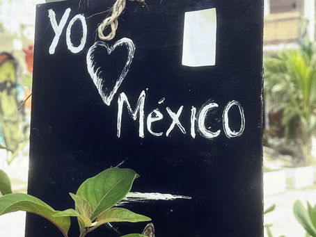 A Diluted Mind, My Eight Weeks in Mexico