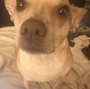 Family: It’s As Simple As Watching A Tree Grow