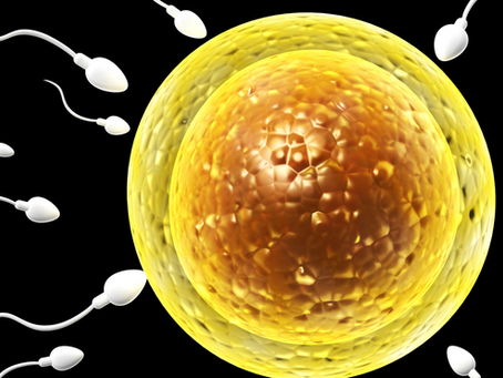 The Science Behind Ovulation Induction: How It Works And Who Can Benefit