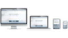Website screen Template F.I.T copy.png