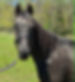 41f3e007-df3b-4c51-a588-82eafeb2c609.jpeg