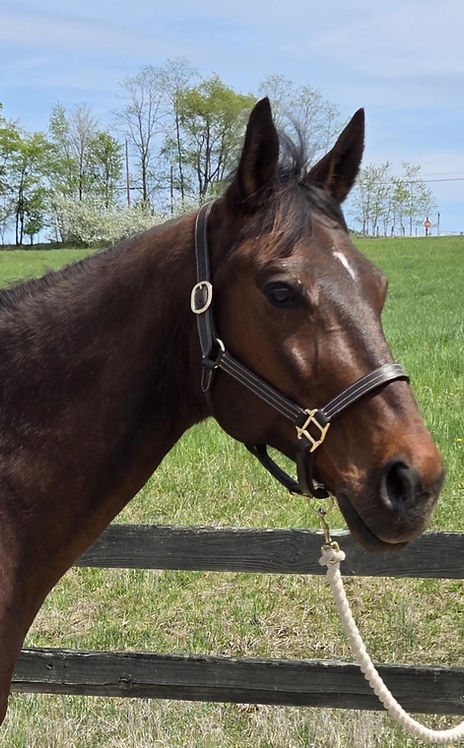 3bd3af07-d29c-42e6-8cec-bdafdc7660d4 (1).jpeg