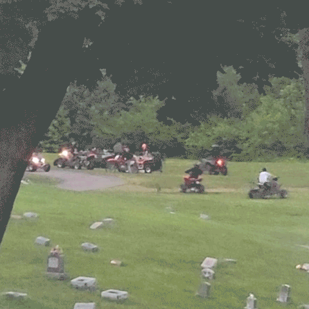 Untitled-1.gif