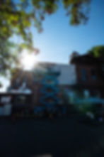 DSC07133.jpeg