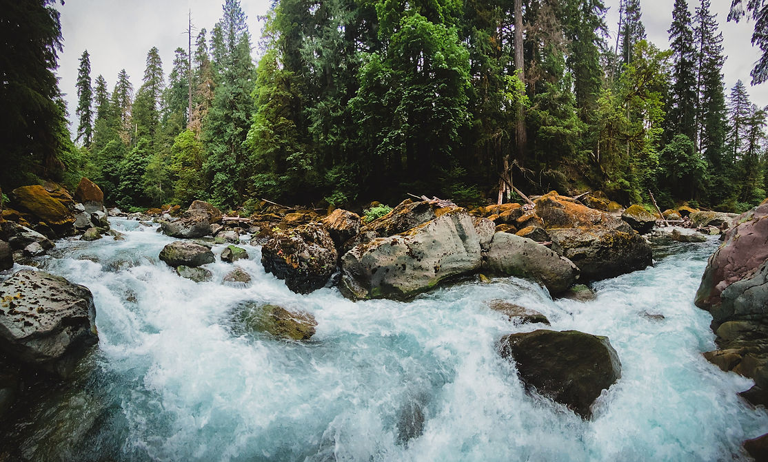 2D7175BA-82E7-479F-9FBB-59902EA290F2.jpeg