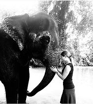 Kim travel elephant.jpeg
