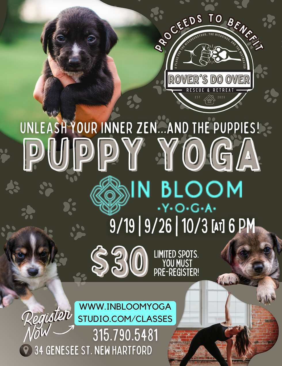 Paws and Poses Puppy Yoga
