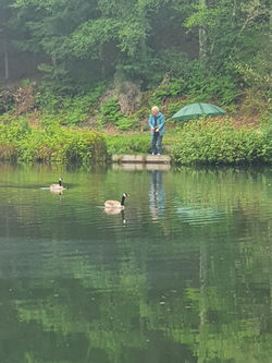Geese and Angler.