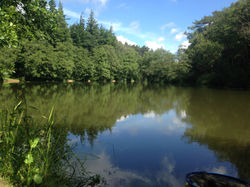 View of Lake.