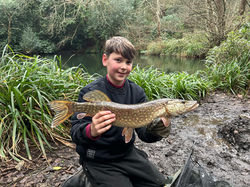 Pike @ Harmers