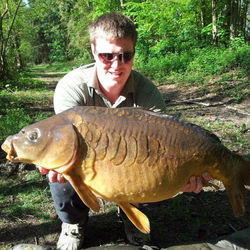 Carp.