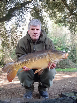 Carp.