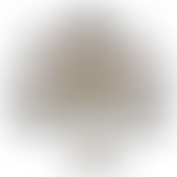 The Eight Limbs of Yoga