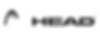 Head Logo