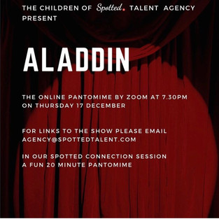 Aladdin pantomime 2020.jpeg