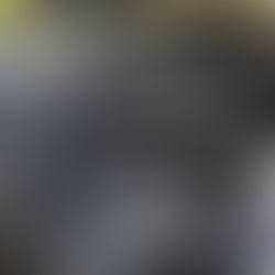 Ultimate Guide to the 3 in 1 High Protection Quick Car Coating Spray for a Shine That Lasts