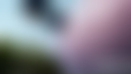 Understanding the Benefits of Phoenix American Warranty for Your Vehicle Protection