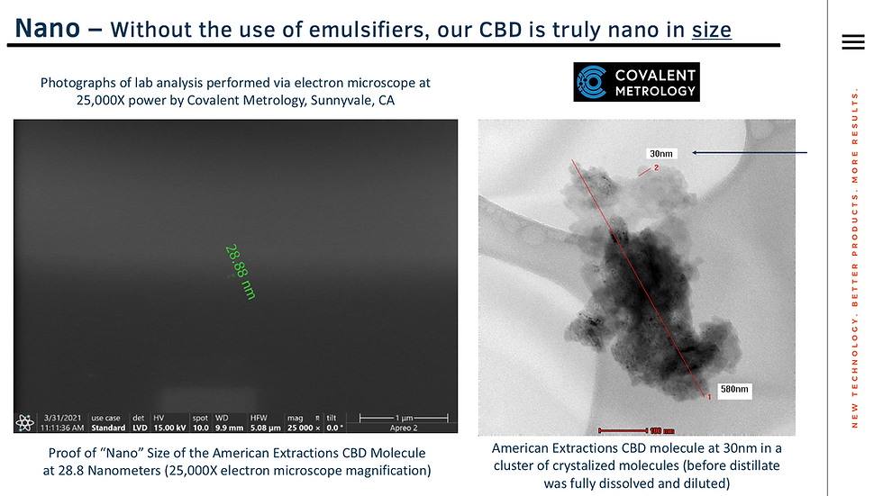 Nano Technology and Bioavailability